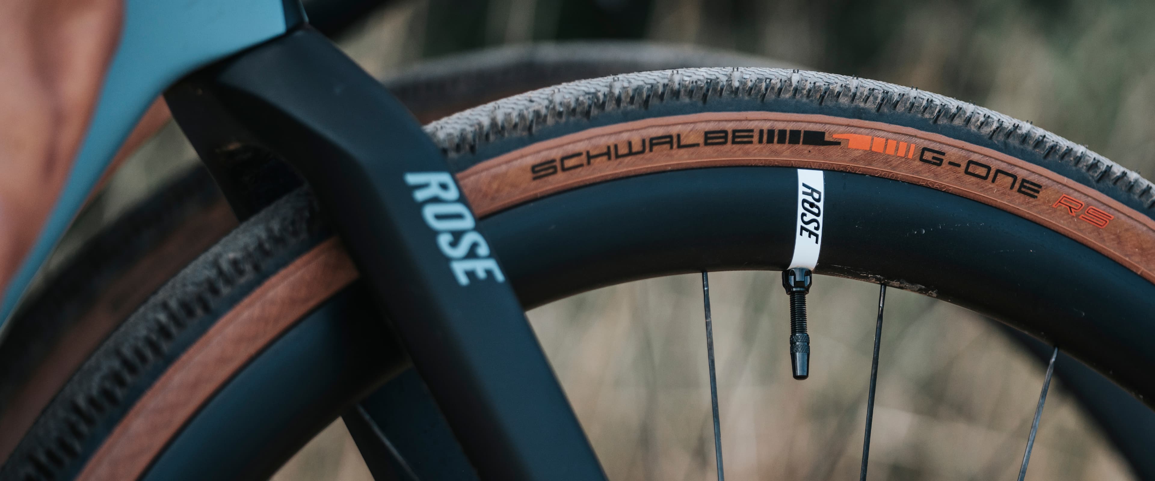 SCHWALBE