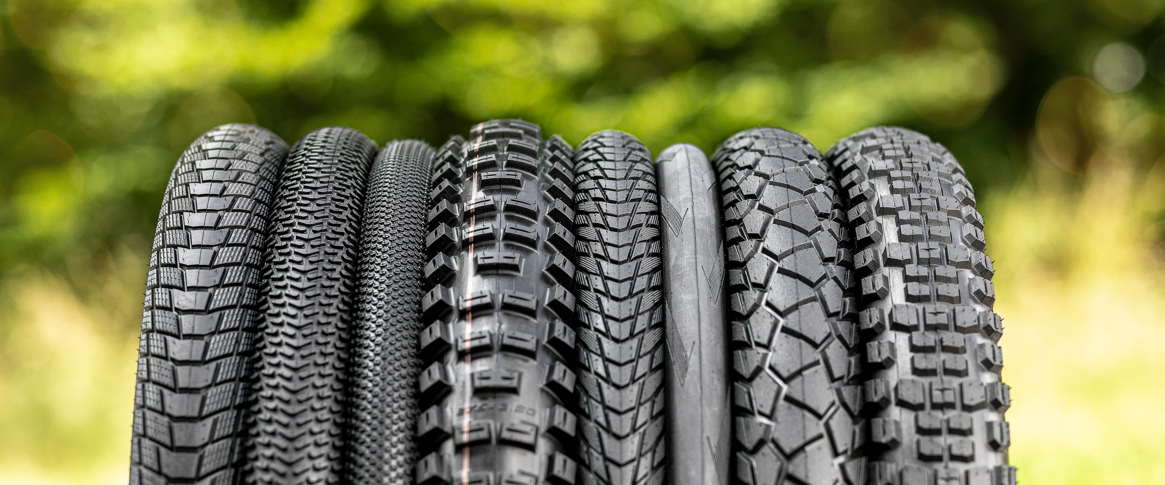SCHWALBE